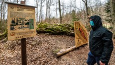 Správci Krkonoského národního parku zpístupnili naunou stezku o vetenovce...