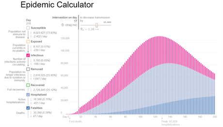 Epidemic Calculator