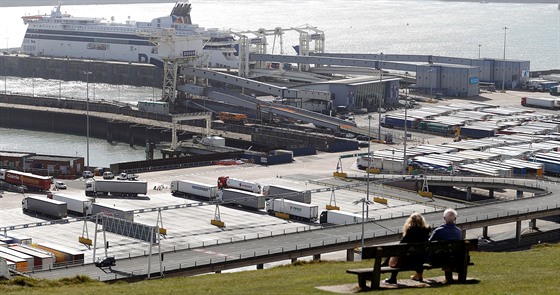 Kamiony v britském pístavu Dover. (bezen 2020)