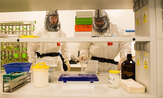 Virologové Martin Palus (vlevo) a Václav Hönig pracují v laboratoři s vysokým...