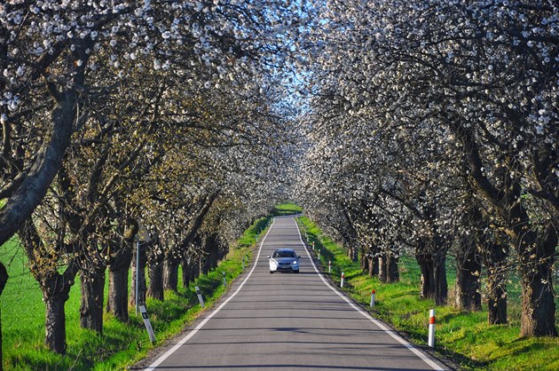 ilustra�n� sn�mek