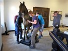Pracovníci chebského muzea sthují Valdtejnova kon.