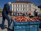 Od pondlí znovu otevely farmáské trhy, teba v Praze na Hradanské (na...