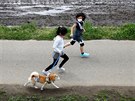 Japonské dívky vení psa na pedmstí Sakury. (22. dubna 2020)
