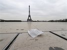 Rouka pohozená nedaleko paíské Eiffelovy ve (17. bezna 2020)