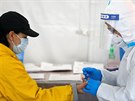Zdravotníci v Brooklynu testují Newyorany na koronavirus. (23. dubna 2020)