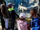 Dnes v omezeném reimu otevírá i praská zoologická zahrada. (27. dubna 2020)