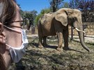 Zoologická zahrada ve Dvoe Králové nad Labem se znovu otevela veejnosti....