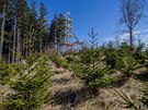 Rozhledna vznik� nad sjezdovkou v Ole�nici v Orlick�ch hor�ch, bude m�t v��ku...