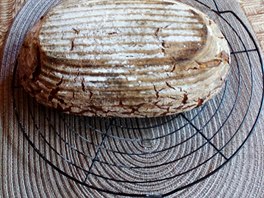 Čtenářka Jaroslava peče podmáslový chléb ze žitného kvásku a žitné mouky:...