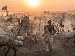 Tyto neuvitelné snímky zachycují kmen Mundari z Terekek v jiním Súdánu....