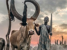 Tyto neuvitelné snímky zachycují kmen Mundari z Terekek v Jiním Súdánu....