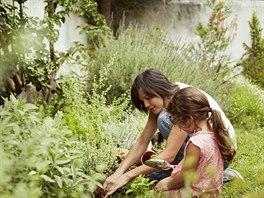 Budujete vlastní zahradu a cht�li byste se o svoji radost pod�lit s ostatními?...
