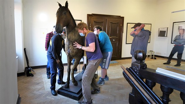 Pracovníci chebského muzea stěhují Valdštejnova koně.