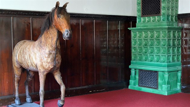 Valdštejnův kůň v Muzeu Cheb.