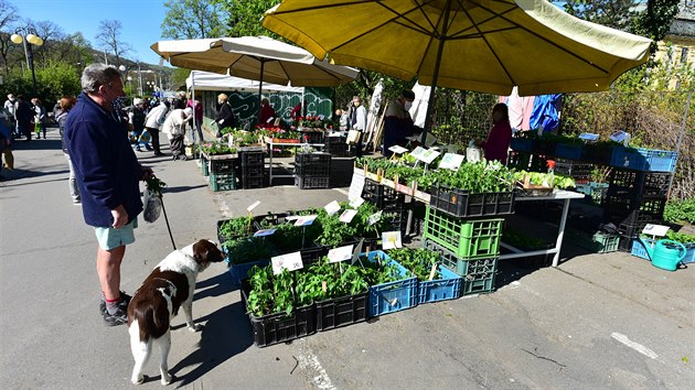 Na znovuotevřeném hlavním zlínském tržišti Pod
Kaštany musejí prodejci dodržovat přísná hygienická nařízení.
