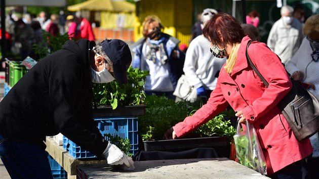 Na znovuotevřeném hlavním zlínském tržišti Pod
Kaštany musejí prodejci dodržovat přísná hygienická nařízení.