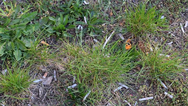 Při pohledu na trávník posetý nedopalky, bylo jen otázkou času, kdy oharek skončí jinde než na trávě.