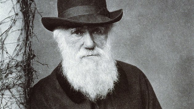 Portrt Charlese Roberta Darwina (1809-1882), anglickho prodovdce a autora Pvod druh, z fotografie Elliota a Fryho.