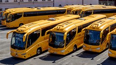 Autobusy společnosti RegioJet odstavené na pražském nádraží Florenc. (21. dubna...