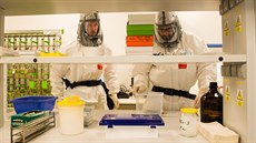 Virologové Martin Palus (vlevo) a Václav Hönig pracují v laboratoi s vysokým...