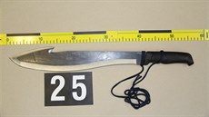 Ma�etu, kterou jeden z mu�� vá�n� poranil druhého, zajistila policie.