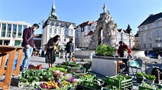 Lidé si zakoupené bylinky i sazenice odnáeli jako poklad. U je to trochu...