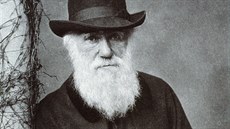 Portrét Charlese Roberta Darwina (1809-1882), anglického pírodovdce a autora...