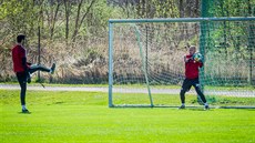 Fotbalisté prvoligových eských Budjovic zaali za písných hygienických...