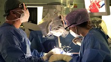 Lékai Fakultní nemocnice v Ostrav vyuili u nový pístroj u zhruba dvou...