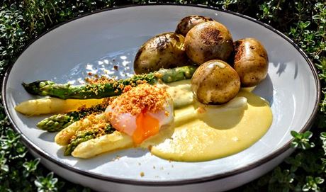 Chest s holandskou omákou, bramborami a ztraceným vejcem.