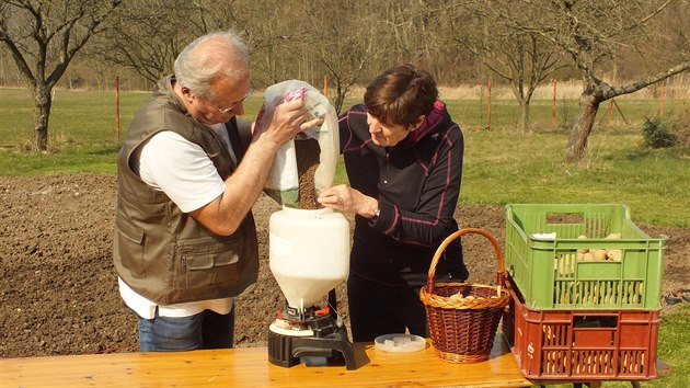 Jan Kopiva a Jarmila Dukov rad ped vsadbou brambor do pdy (na podzim pohnojen hnojem) jet zapravit hnojivo, kter dod draslk, dusk a fosfor. Ideln rotavtorem, kter pdu provzdun do hloubky 20 centimetr.