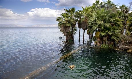 Galilejské jezero (na snímku z 25. dubna 2020) je hlavním zdrojem pitné vody...