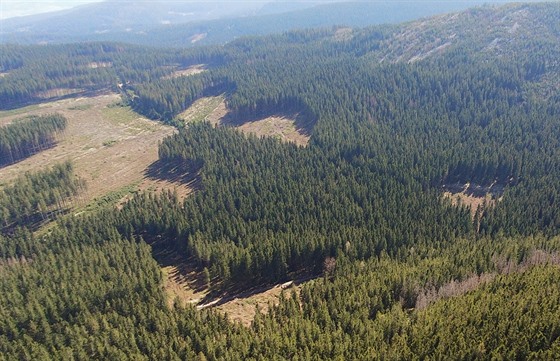 Fotografie poízené ekology, které podle nich dokazují holosee ve druhé zón...