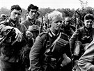 Vojáci Wehrmachtu ve Francii v roce 1940