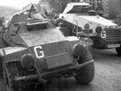 Bitva o Francii 1940, nmecké obrnné automobily