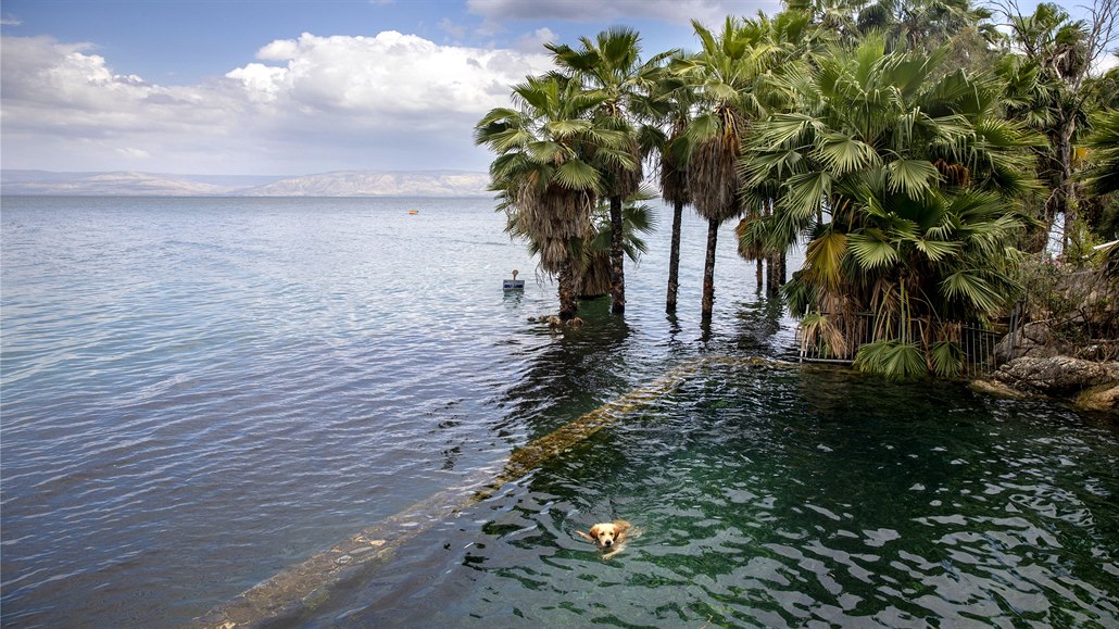 Galilejské jezero (na snímku z 25. dubna 2020) je hlavním zdrojem pitné vody...