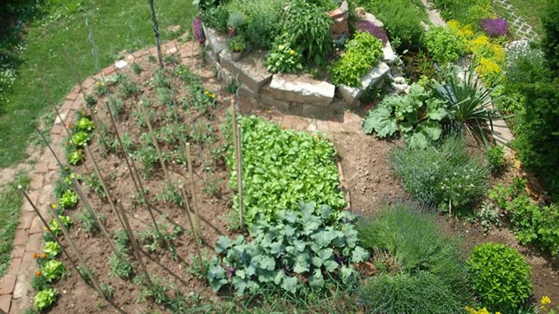Zeleninov zhony a bylinkov spirla, kter rodiny vybudovaly i dky zemin vyten z plochy bvalho bnho sklenku. 