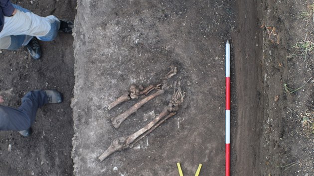 Archeologov na pomez Strnice a Radjova na Hodonnsku objevili kostry navren na sob. O pietnm pohben podle nich neme bt e.