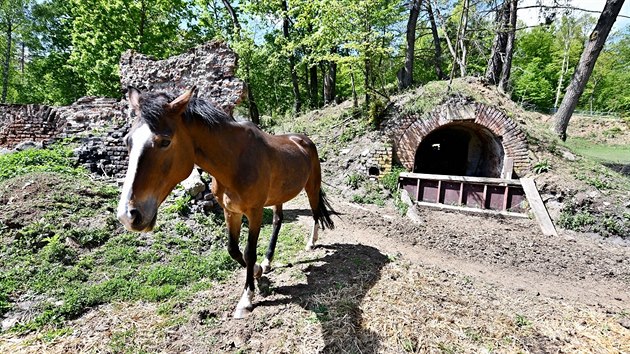 tola Hanlka, ve kter se ukrvali obyvatel Babic u Rosic na konci druh svtov vlky, byla soust ernouhelnho dolu Ferdinand z 19. stolet. Dnes po n zbylo jen pr dkaz jako teba zatarasen vchod.