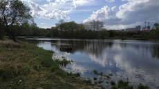Milí�ovský rybník. V pozadí dominanty Ji�ního M�sta na Hájích.