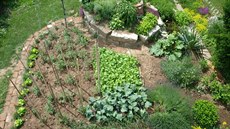 Zeleninové záhony a bylinková spirála, které rodiny vybudovaly i díky zemin...