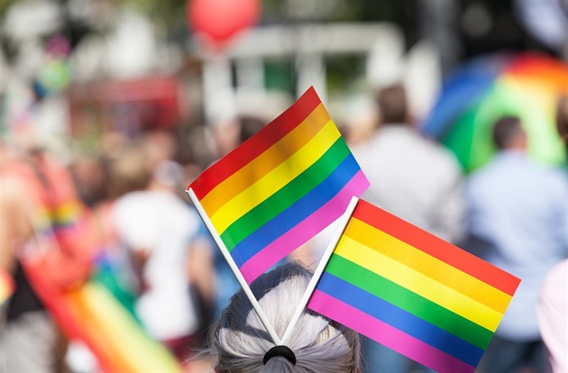 Slovinský ústavní soud legalizoval manželství a adopce pro stejnopohlavní páry
