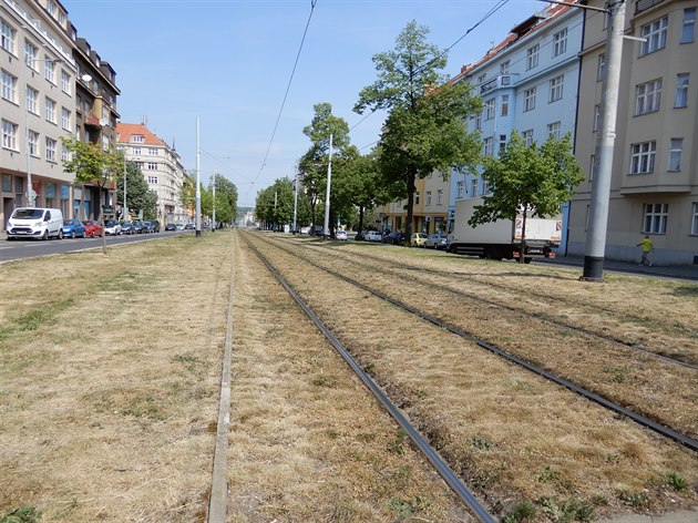 Tráva kolem tramvajových kolejí pomalu schne