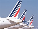 Letadla spolenosti Air France uzemnná na paíském letiti Orly. (duben -...