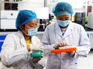 ínské laborantky testují vzorky v Pekingu. (14. kvtna 2020)