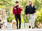 Sophie Turnerová a její manel Joe Jonas na procházce se psy (Los Angeles, 17....