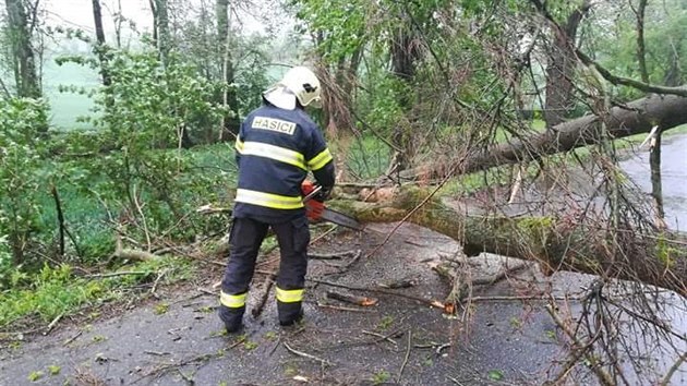 Siln vtr v pondl polmal nkolik strom na silnici u Bentek nad Jizerou. (11. kvtna 2020)