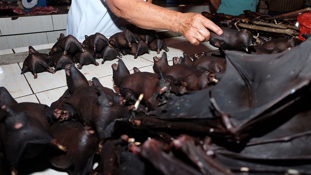 Prodej netopýrů na tzv. mokrém trhu v indonéském městě Tomohon. Předpokládá se, že právě od netopýrů vzešla nákaza koronaviru. (8. února 2020)