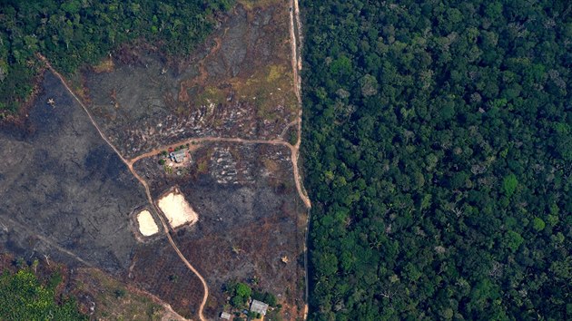 V Brazílii dochází k odlesňování amazonského pralesa i přes pandemii koronaviru. (23. dubna 2020)